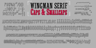 Wingman by Fontforecast — Script Handwritten Font — thumbnail 9