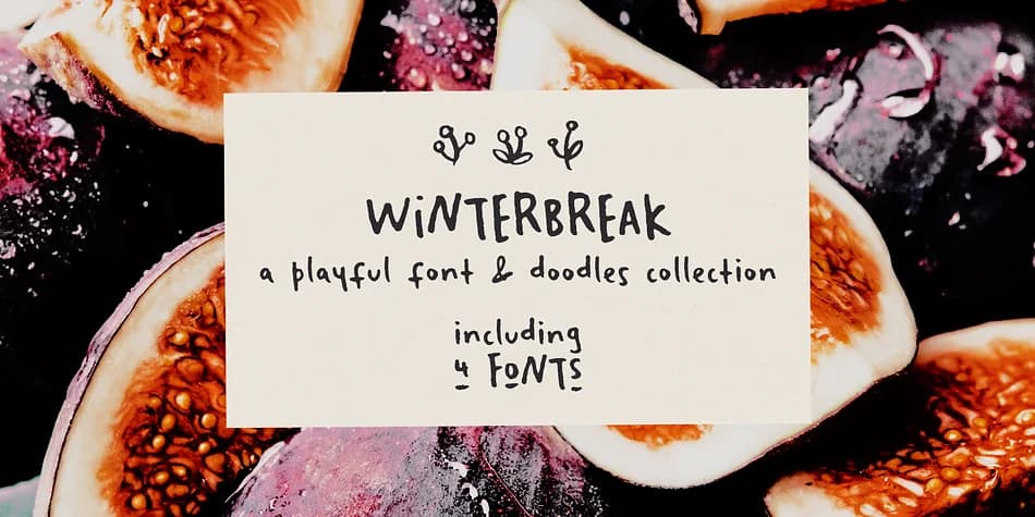 Winterbreak by Ana's Fonts — Dingbats Font