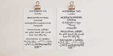 Winterbreak by Ana's Fonts — Dingbats Font — thumbnail 3