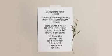 Winterbreak by Ana's Fonts — Dingbats Font — thumbnail 4