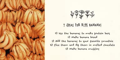 Winterbreak by Ana's Fonts — Dingbats Font — thumbnail 5