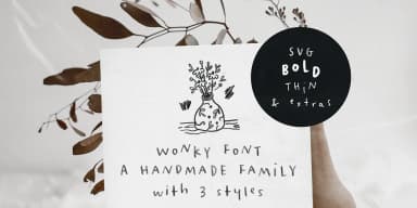 Wonky by Ana's Fonts — Dingbats Font — thumbnail 1