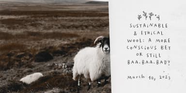 Wonky by Ana's Fonts — Dingbats Font — thumbnail 4