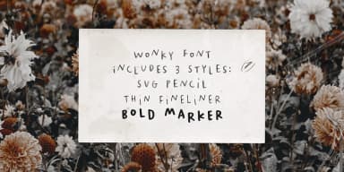 Wonky by Ana's Fonts — Dingbats Font — thumbnail 5
