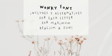 Wonky by Ana's Fonts — Dingbats Font — thumbnail 6