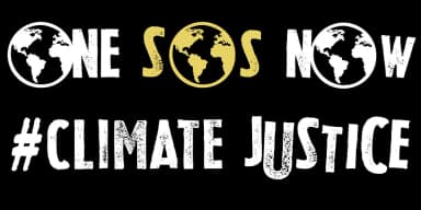 Wood Sans by Typo Graphic Design — Dingbats Font — thumbnail 5