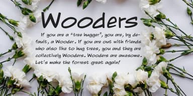 Wooders by FontHaus — Decorative Font — thumbnail 4