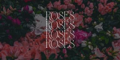 ZASLIA by suhadidesign — Decorative Font — thumbnail 7