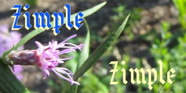 Zimple by Ingrimayne Type — Blackletter Font — thumbnail 3