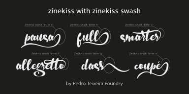 Zinekiss by Pedro Teixeira — Dingbats Font — thumbnail 3