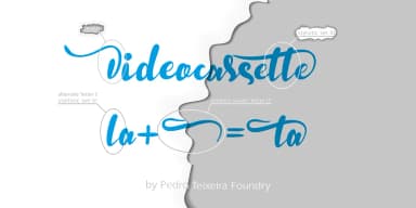 Zinekiss by Pedro Teixeira — Dingbats Font — thumbnail 4