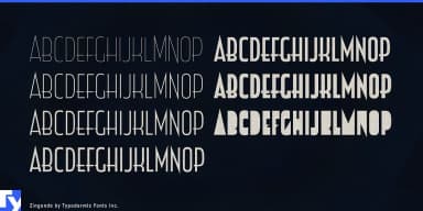 ZINGENDE by Typodermic Fonts Inc. — Decorative Font — thumbnail 4