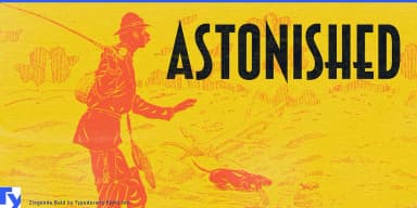 ZINGENDE by Typodermic Fonts Inc. — Decorative Font — thumbnail 7