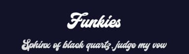 Funkies by Blankids — Script Handwritten Font — thumbnail 2