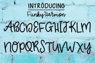 Funky Harmon Font by tabitha_beam — Script Handwritten Font — thumbnail 2