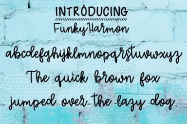 Funky Harmon Font by tabitha_beam — Script Handwritten Font — thumbnail 3