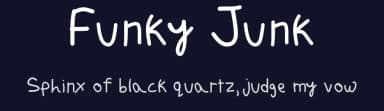 Funky Junk by Sarai Lewis — Script Handwritten Font — thumbnail 2