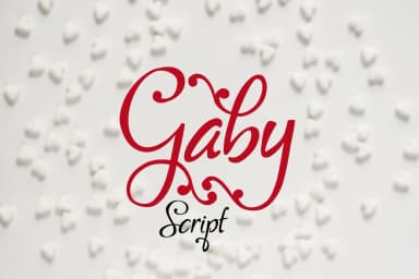 Gaby Font by Digital Typeface Studio — Script Handwritten Font — thumbnail 1