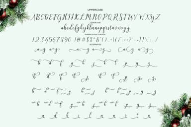 Galatia Script Font by Amarlettering — Script Handwritten Font — thumbnail 6