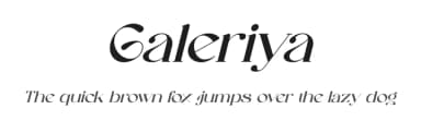Galeriya by Gracetype Studio — Serif Font — thumbnail 1