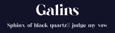 Galins by BrandSemut — Serif Font — thumbnail 2