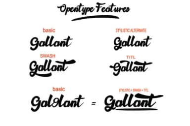 Gallant Font by dmletter31 — Script Handwritten Font — thumbnail 3