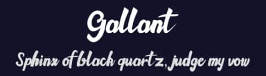 Gallant by DM Letter Studio - Dimas Prasetyo — Script Handwritten Font — thumbnail 2