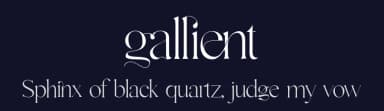 Gallient by DYSA Studio — Serif Font — thumbnail 2