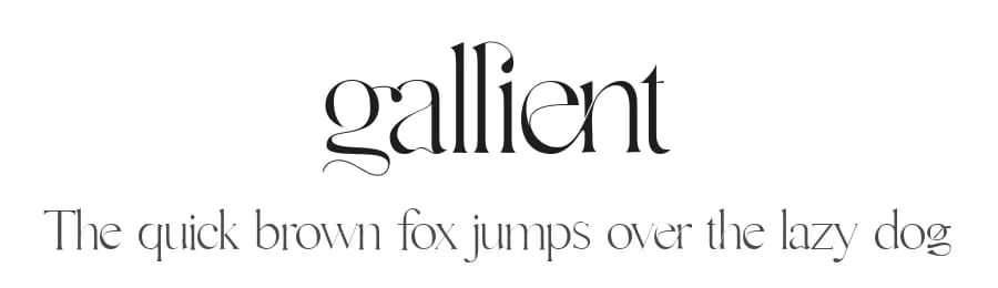 Gallient by DYSA Studio — Serif Font