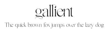 Gallient by DYSA Studio — Serif Font — thumbnail 1