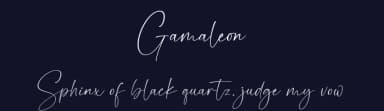 Gamaleon by Dav studio — Script Handwritten Font — thumbnail 2