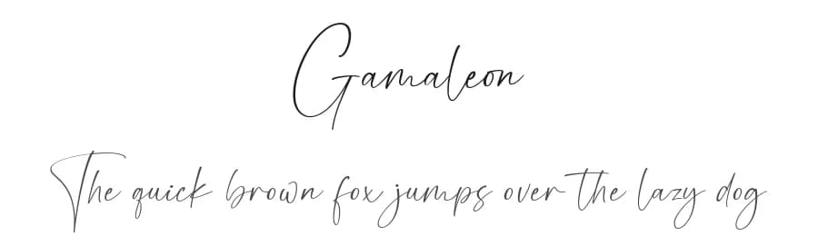 Gamaleon by Dav studio — Script Handwritten Font — preview 1