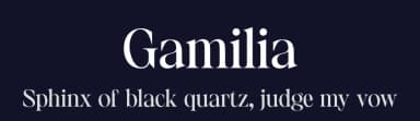 Gamilia by Craft Supply Co. — Serif Font — thumbnail 2