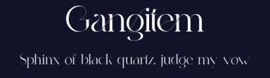 Gangitem by 177Studio — Serif Font — thumbnail 2