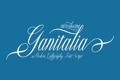 Ganitalia Font by naldystudio — Script Handwritten Font — thumbnail 1