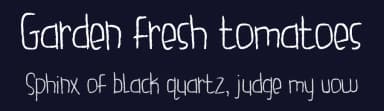 Garden fresh tomatoes by Brittney Murphy Design — Script Handwritten Font — thumbnail 2