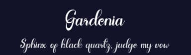 Gardenia by Ameerazan Studio — Script Handwritten Font — thumbnail 2