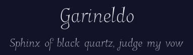 Garineldo by gluk — Script Handwritten Font — thumbnail 2