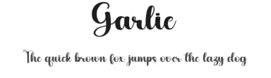 Garlic by Harlek Studio — Script Handwritten Font — thumbnail 1