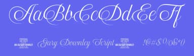 Gary Downley Script by Måns Grebäck — Script Handwritten Font — thumbnail 3
