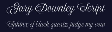 Gary Downley Script by Måns Grebäck — Script Handwritten Font — thumbnail 2