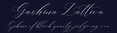 Gashina Lattiva by Perspectype Studio - Letterena.com — Script Handwritten Font — thumbnail 2
