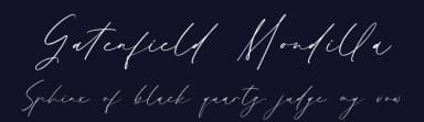 Gatenfield Mondilla by Storytype Studio — Script Handwritten Font — thumbnail 2