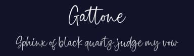 Gattone by Suby Studio — Script Handwritten Font — thumbnail 2