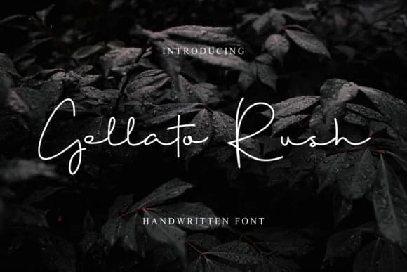 Gellato Rush Font by MENK Studio — Script Handwritten Font