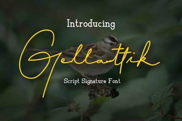 Gellattik Font by anomali.bisu — Script Handwritten Font