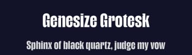 Genesize Grotesk by Limitype — Sans Serif Font — thumbnail 2