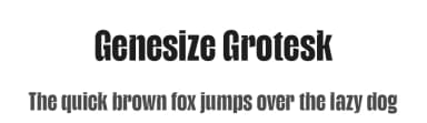 Genesize Grotesk by Limitype — Sans Serif Font — thumbnail 1
