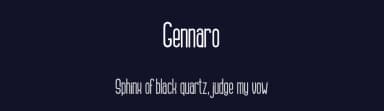 Gennaro by Figuree Studio — Sans Serif Font — thumbnail 2