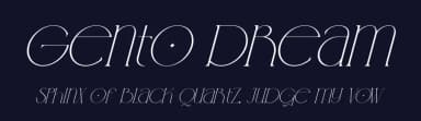 Gento Dream by Storytype Studio — Serif Font — thumbnail 2